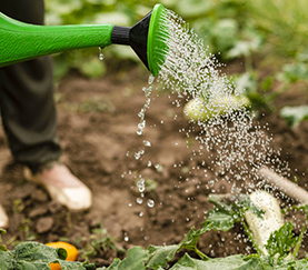 Agricultural